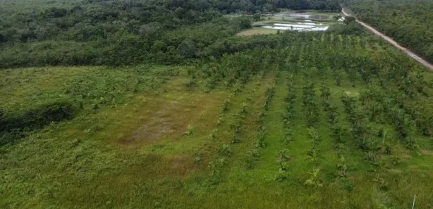 Fazenda / Sítio / Chácara à venda, 32m² no , Morros