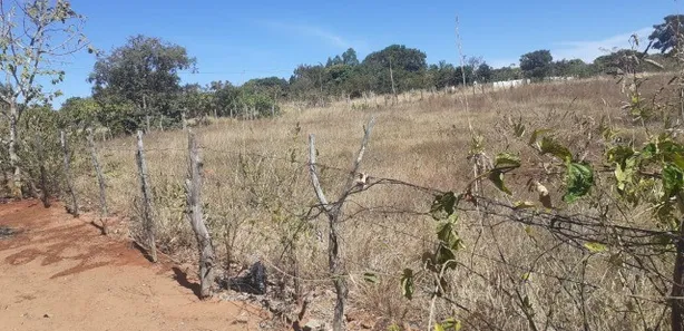 Fazenda / Sítio / Chácara à venda, 5000m² no Brazlândia, Brasília