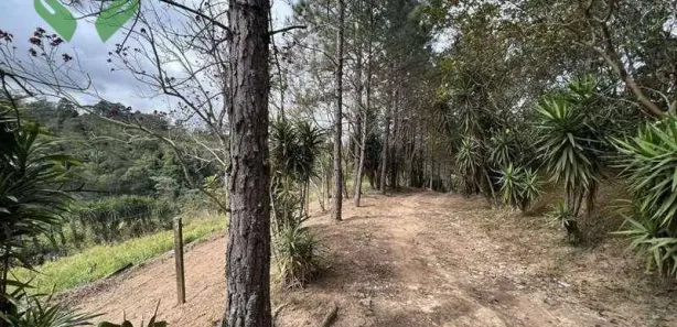 Terreno / Lote / Condomínio à venda, 18455m² no Taboleiro Verde, Cotia