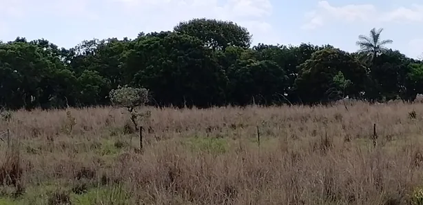 Fazenda / Sítio / Chácara à venda, 20000m² no Núcleo Rural Lago Oeste, Brasília