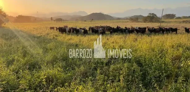 Fazenda / Sítio / Chácara com 3 Quartos à venda, 450000m² no Papucaia, Cachoeiras de Macacu