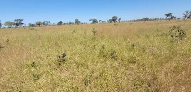 Fazenda / Sítio / Chácara com 3 Quartos à venda, 556000m² no Área Rural de Santo Antônio do Descoberto, Santo Antônio do Descoberto