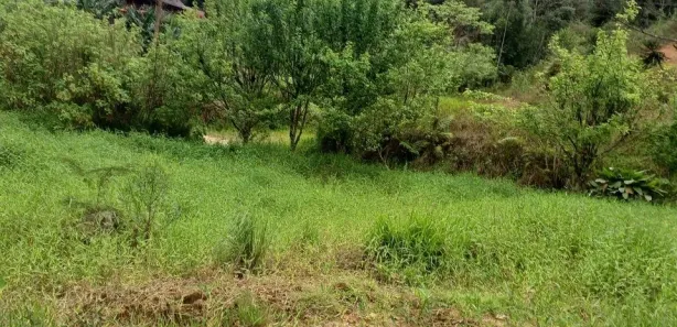 Fazenda / Sítio / Chácara à venda, 3662m² no Vargem Grande, Águas Mornas