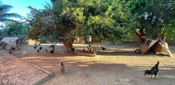 Fazenda / Sítio / Chácara com 3 Quartos à venda, 2000m² no Chácaras Vale das Andorinhas, Novo Gama