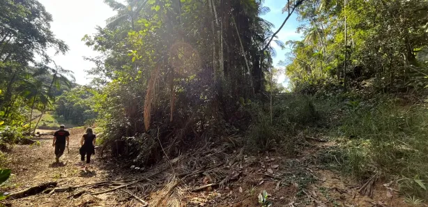 Fazenda / Sítio / Chácara à venda, 11000m² no Massaranduba, Massaranduba