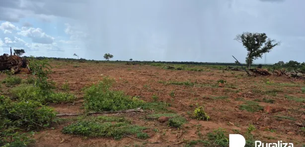 Fazenda / Sítio / Chácara à venda, 528m² no , Lagoa da Confusão