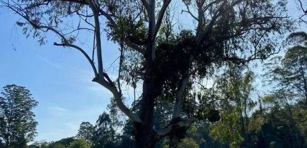 Fazenda / Sítio / Chácara com 3 Quartos à venda, 400m² no Condomínio Porta do Sol, Mairinque