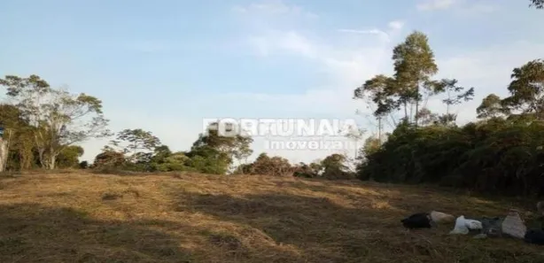 Terreno / Lote Comercial à venda, 1959m² no Fazenda Vitoria, São Lourenço da Serra