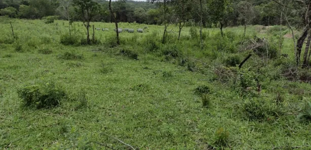 Terreno / Lote / Condomínio à venda, 20000m² no Zona Rural, Fortuna de Minas