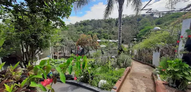 Fazenda / Sítio / Chácara com 3 Quartos à venda, 200m² no Aglomeração Urbana de Jundiaí, Louveira
