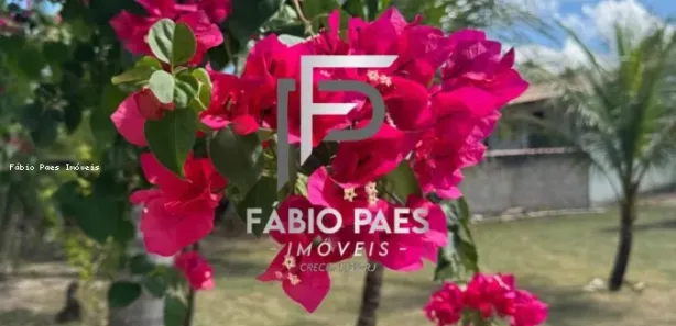 Fazenda / Sítio / Chácara com 2 Quartos à venda, 3800m² no Agrobrasil, Cachoeiras de Macacu