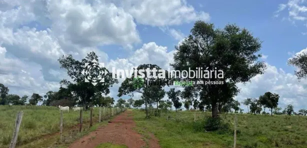 Fazenda / Sítio / Chácara à venda, 566m² no Centro, Divinópolis do Tocantins