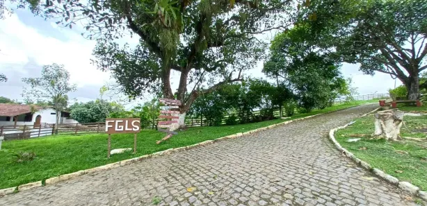 Fazenda / Sítio / Chácara com 3 Quartos à venda, 428m² no , Pombos