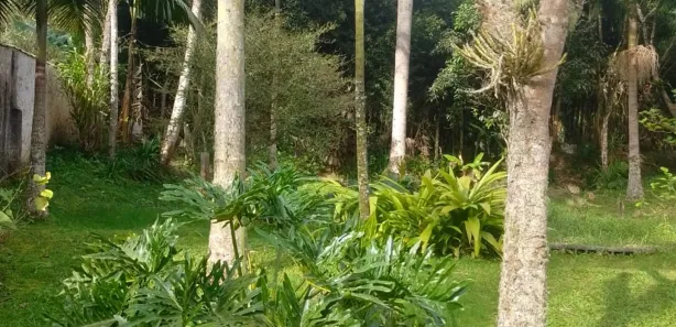 Fazenda / Sítio / Chácara com 2 Quartos à venda, 200m² no Quarta Divisão, Ribeirão Pires