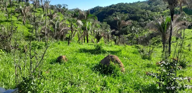 Fazenda / Sítio / Chácara com 3 Quartos à venda, 2565000m² no , Padre Bernardo