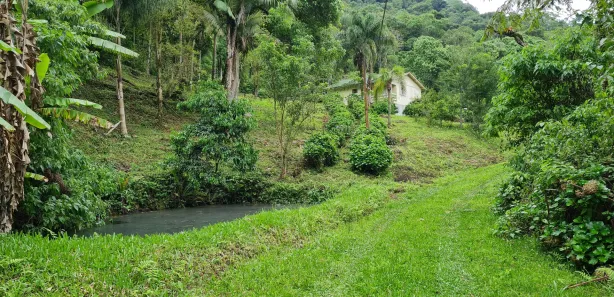 Fazenda / Sítio / Chácara com 2 Quartos à venda, 17000m² no , Águas Mornas