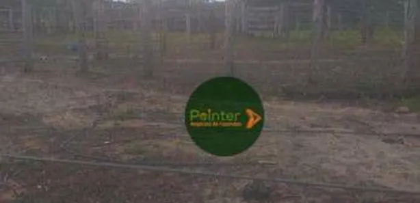 Fazenda / Sítio / Chácara à venda, 16253325m² no , Paranã