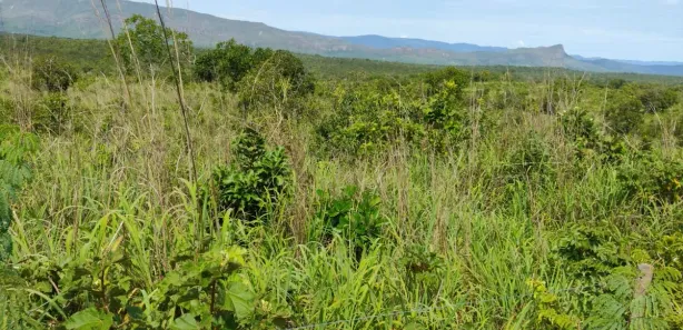 Terreno / Lote / Condomínio com 1 Quarto à venda, 500m² no , Paranã