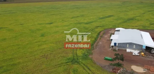 Fazenda / Sítio / Chácara à venda, 55000000m² no , Pedro Afonso