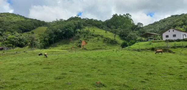 Terreno / Lote / Condomínio à venda, 11000m² no , Águas Mornas