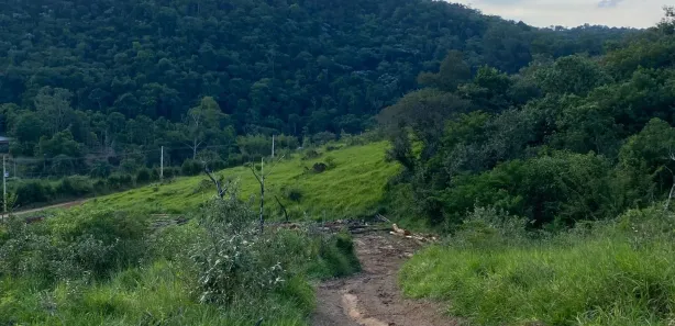 Fazenda / Sítio / Chácara com 2 Quartos à venda, 1000m² no Saboó, São Roque