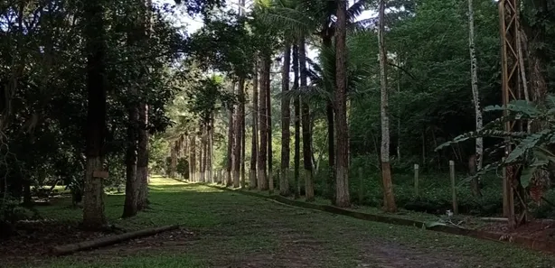 Fazenda / Sítio / Chácara com 5 Quartos à venda, 480m² no Vargem Alegre, Barra do Piraí