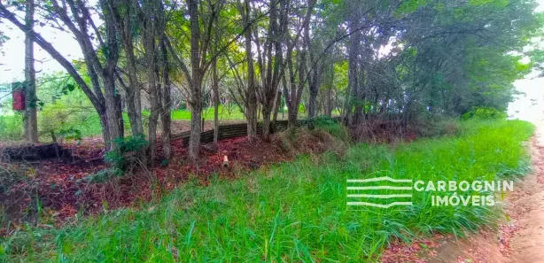 Fazenda / Sítio / Chácara com 1 Quarto à venda, 3000m² no Caçapava Velha, Caçapava