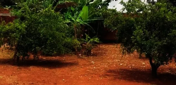 Casa de Condomínio com 4 Quartos à venda, 850m² no Ponte Alta Norte, Brasília