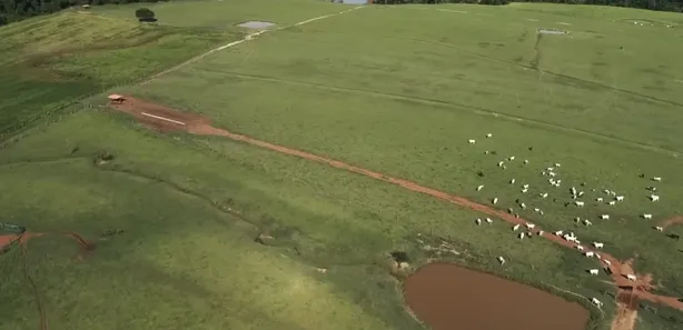 Fazenda / Sítio / Chácara com 5 Quartos à venda, 300m² no , Laranjal Paulista