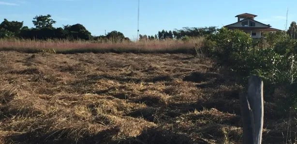 Fazenda / Sítio / Chácara à venda, 20000m² no Núcleo Rural Lago Oeste, Brasília