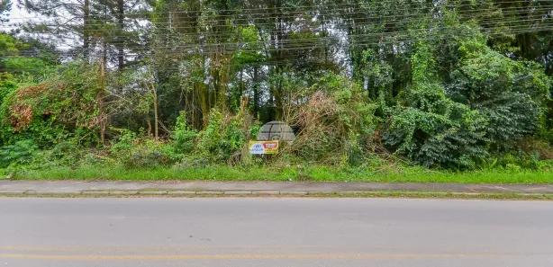 Terreno / Lote / Condomínio à venda, 8709m² no Colonia Santa Gabriela, Almirante Tamandaré