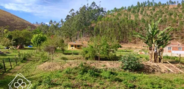 Fazenda / Sítio / Chácara com 3 Quartos à venda, 26000m² no Arrozal, Piraí