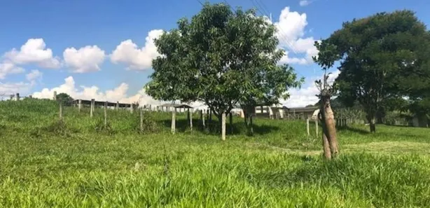 Fazenda / Sítio / Chácara com 3 Quartos à venda, 420000m² no Área Rural de Novo Gama, Novo Gama