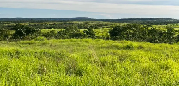 Fazenda / Sítio / Chácara com 2 Quartos à venda, 4985000m² no , Ponte Alta do Tocantins