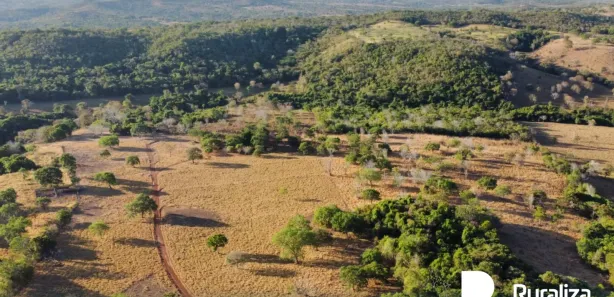 Fazenda / Sítio / Chácara à venda, 430m² no , Guaraí