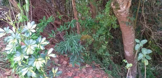 Terreno / Lote / Condomínio à venda, 300m² no Parque Nova Jandira, Jandira