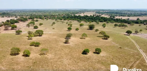 Fazenda / Sítio / Chácara à venda, 953m² no Setor Central, Divinópolis do Tocantins