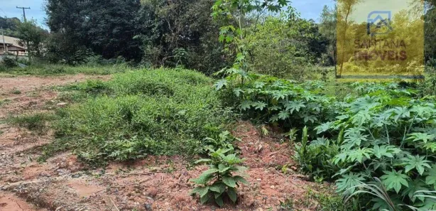 Terreno / Lote / Condomínio à venda, 1071m² no Jardim Bela Vista, Balsa Nova