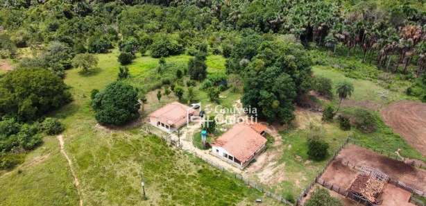 Fazenda / Sítio / Chácara à venda, 8228000m² no Presidente Kennedy, Presidente Kennedy
