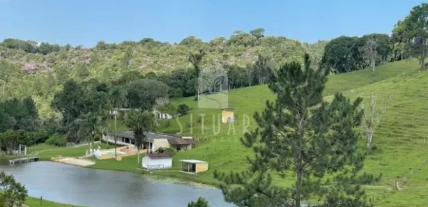 Fazenda / Sítio / Chácara com 6 Quartos à venda, 541800m² no , São Lourenço da Serra