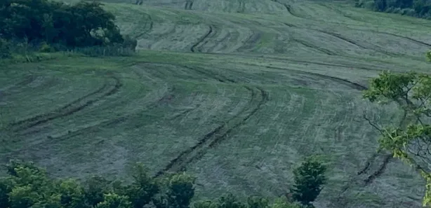 Fazenda / Sítio / Chácara à venda, 648000m² no , Assaí