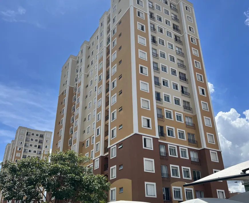 Foto - Cajamar - Polvilho