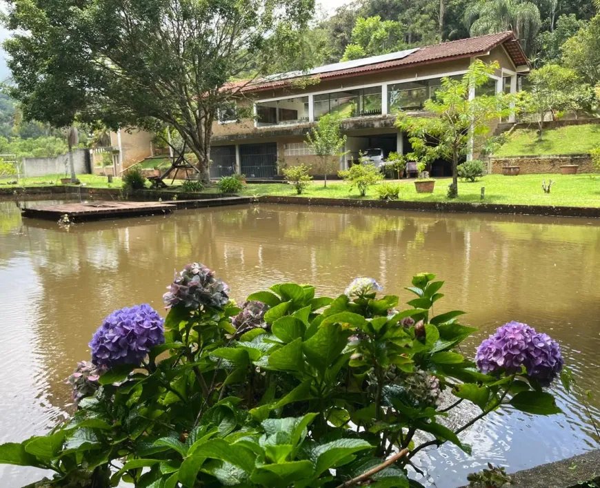 Foto - Itapecerica da Serra - Palmeiras