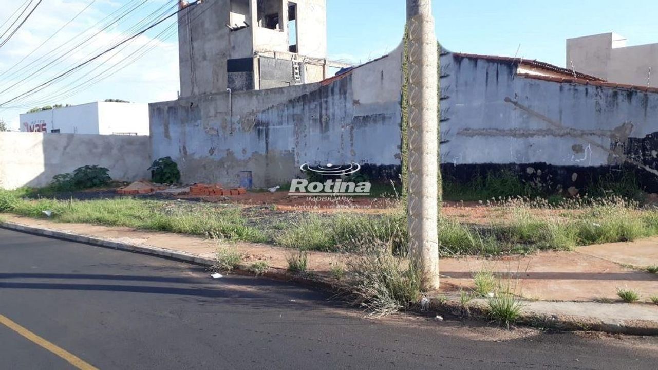 Imóvel 240 m² em Luizote de