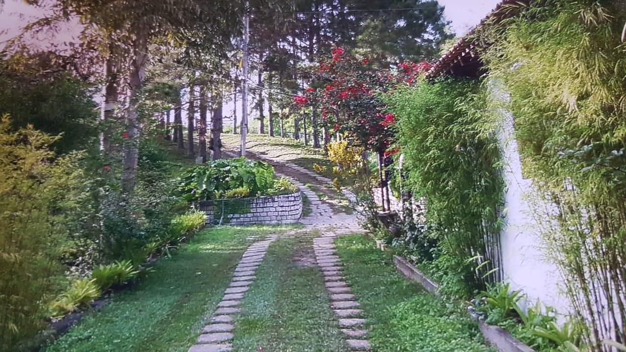 Foto - Piraí - Arrozal