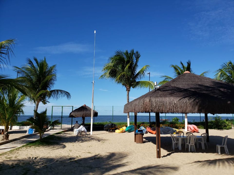 Foto - Paulista - Pau Amarelo