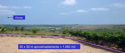 Fazenda / Sítio / Chácara com 6 Quartos à venda, 352m² no Povoado, Pedras de Fogo - Foto 8