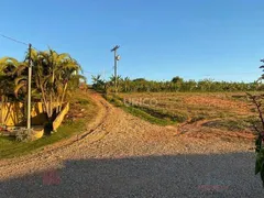 Fazenda / Sítio / Chácara com 4 Quartos à venda, 500m² no Reforma Agraria, Valinhos - Foto 8