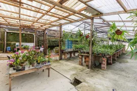 Terreno / Lote / Condomínio com 1 Quarto à venda, 6000m² no Area Rural de Sao Jose dos Pinhais, São José dos Pinhais - Foto 4