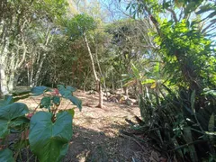 Terreno / Lote / Condomínio à venda no Pântano do Sul, Florianópolis - Foto 7